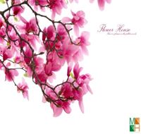 Tranh dán tường Hàn Quốc 3D hoa mộc lan FW - 004