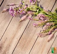 Tranh dán tường Hàn Quốc hoa lavender FW - 168
