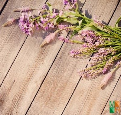 Tranh dán tường Hàn Quốc hoa lavender FW - 168